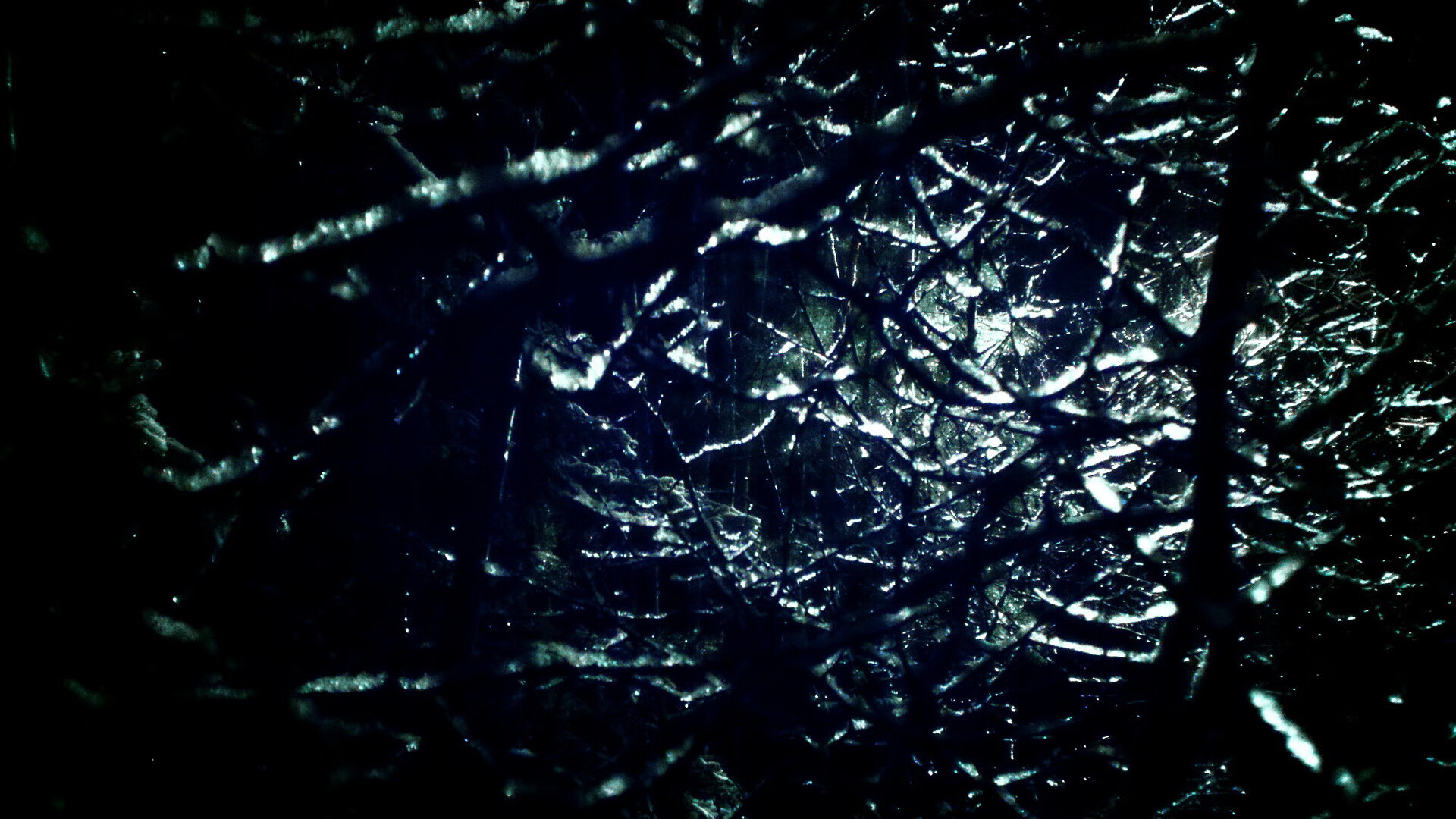 开云体育入口-火箭副帅谈如何培养年轻中锋，火箭主教练人选