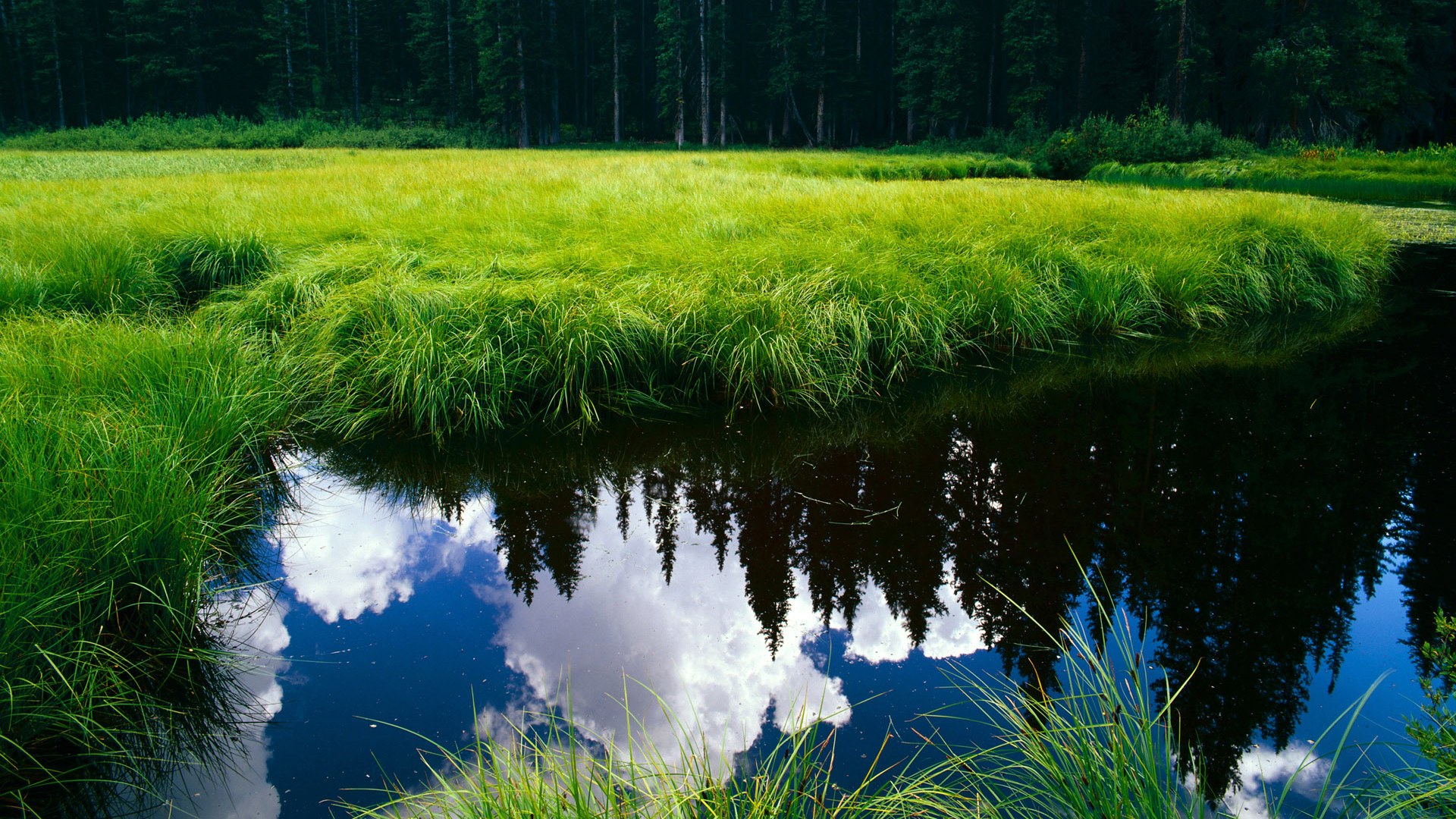 职业联赛优化赛程安排兼顾竞技强度与恢复周期，职业联赛赛制