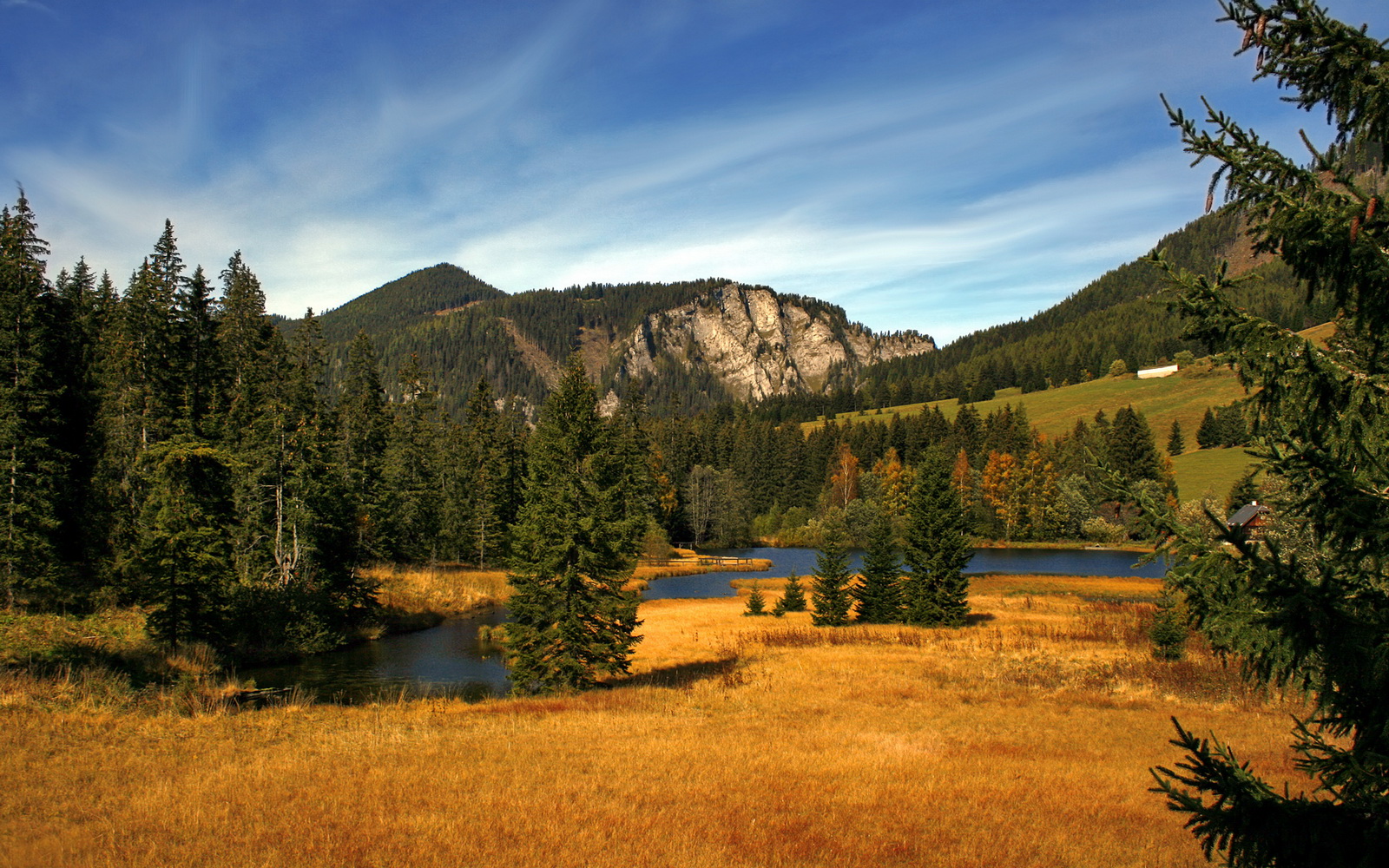 莱昂·马尔尚技术细腻统治200米混合泳赛场