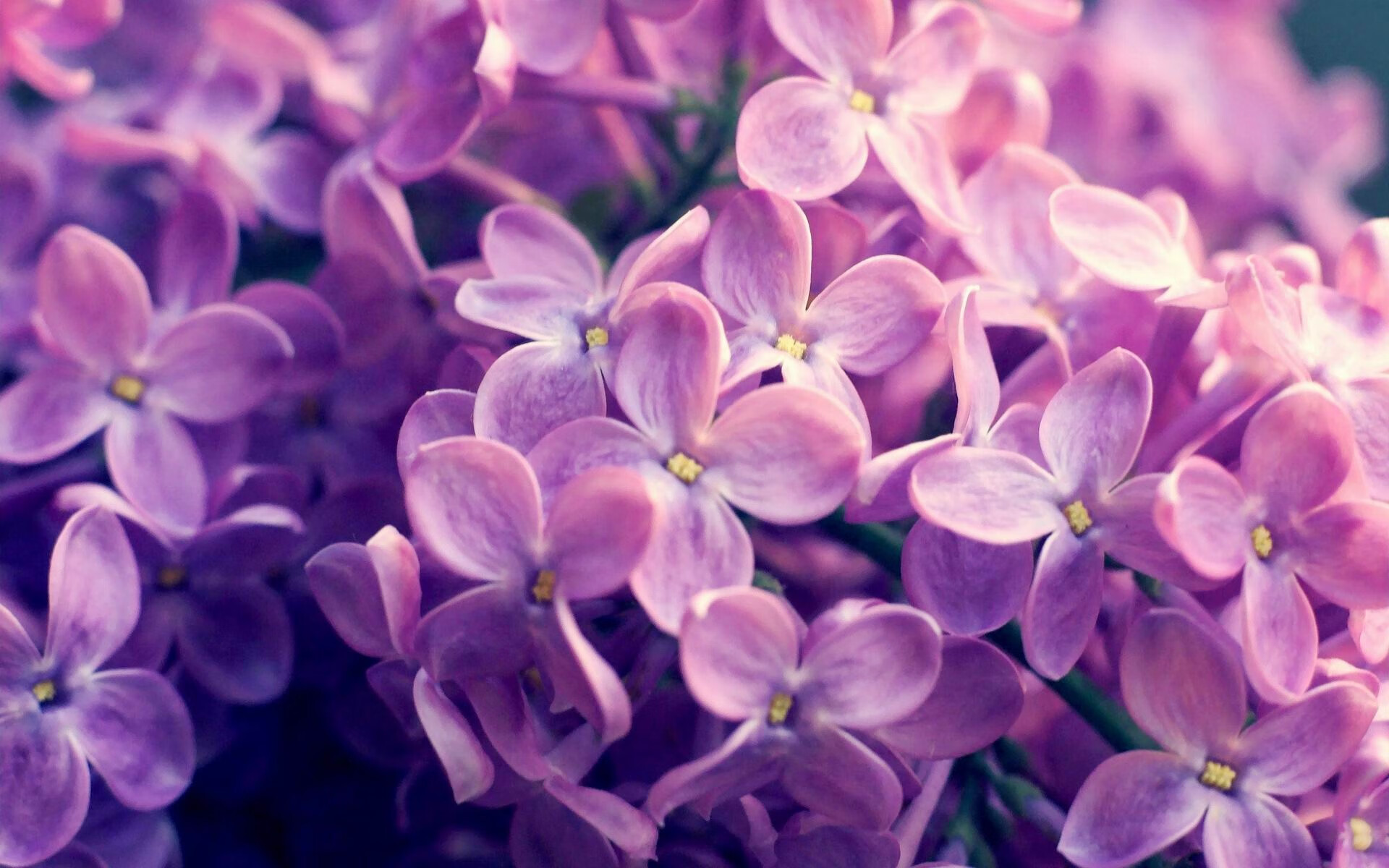 开云体育APP-西甲精彩绝伦：攻防战不断刷新纪录！，西甲攻略