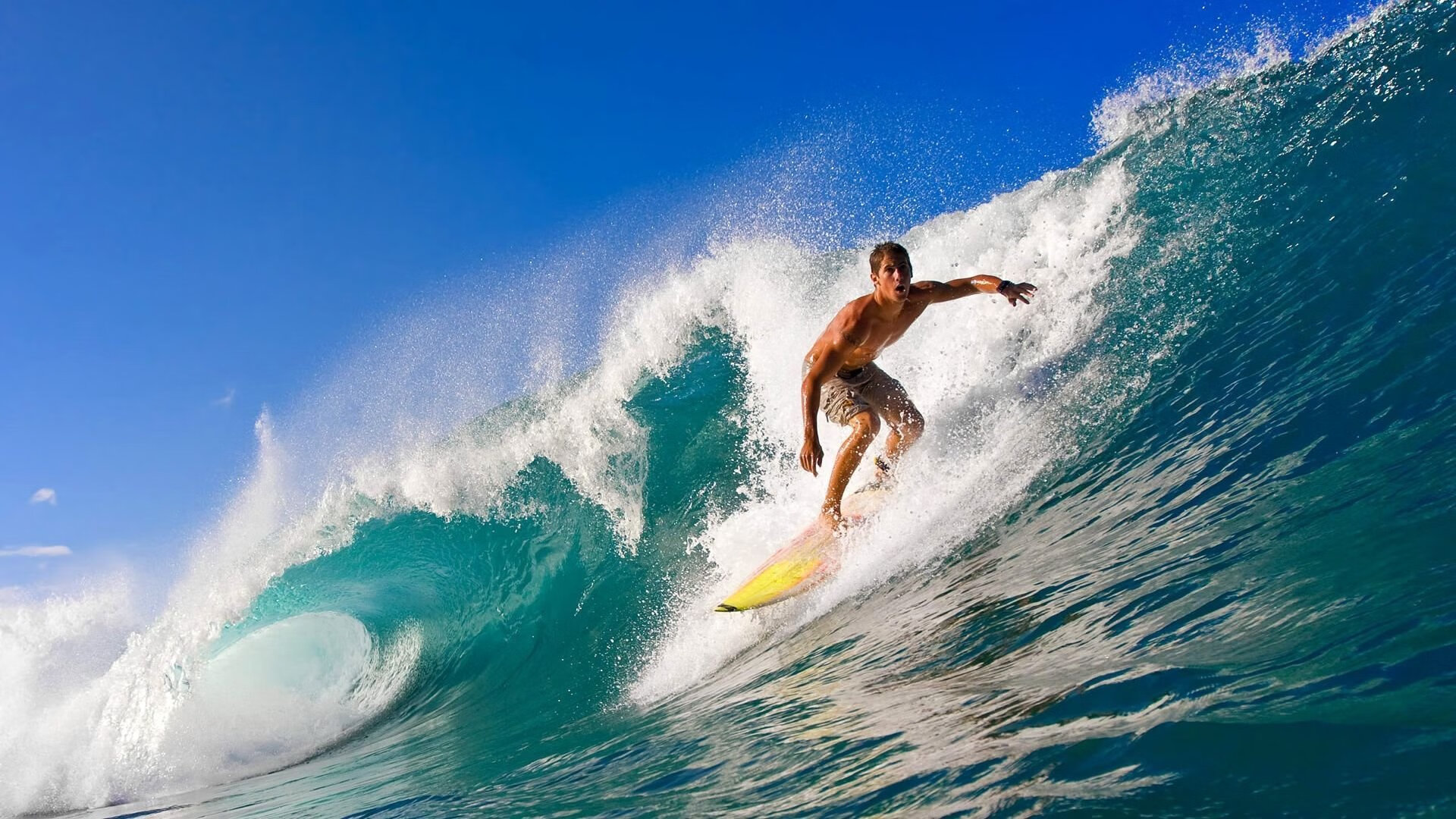 _低碳理念：可持续发展赛场的绿色创新_，绿色低碳 可持续发展