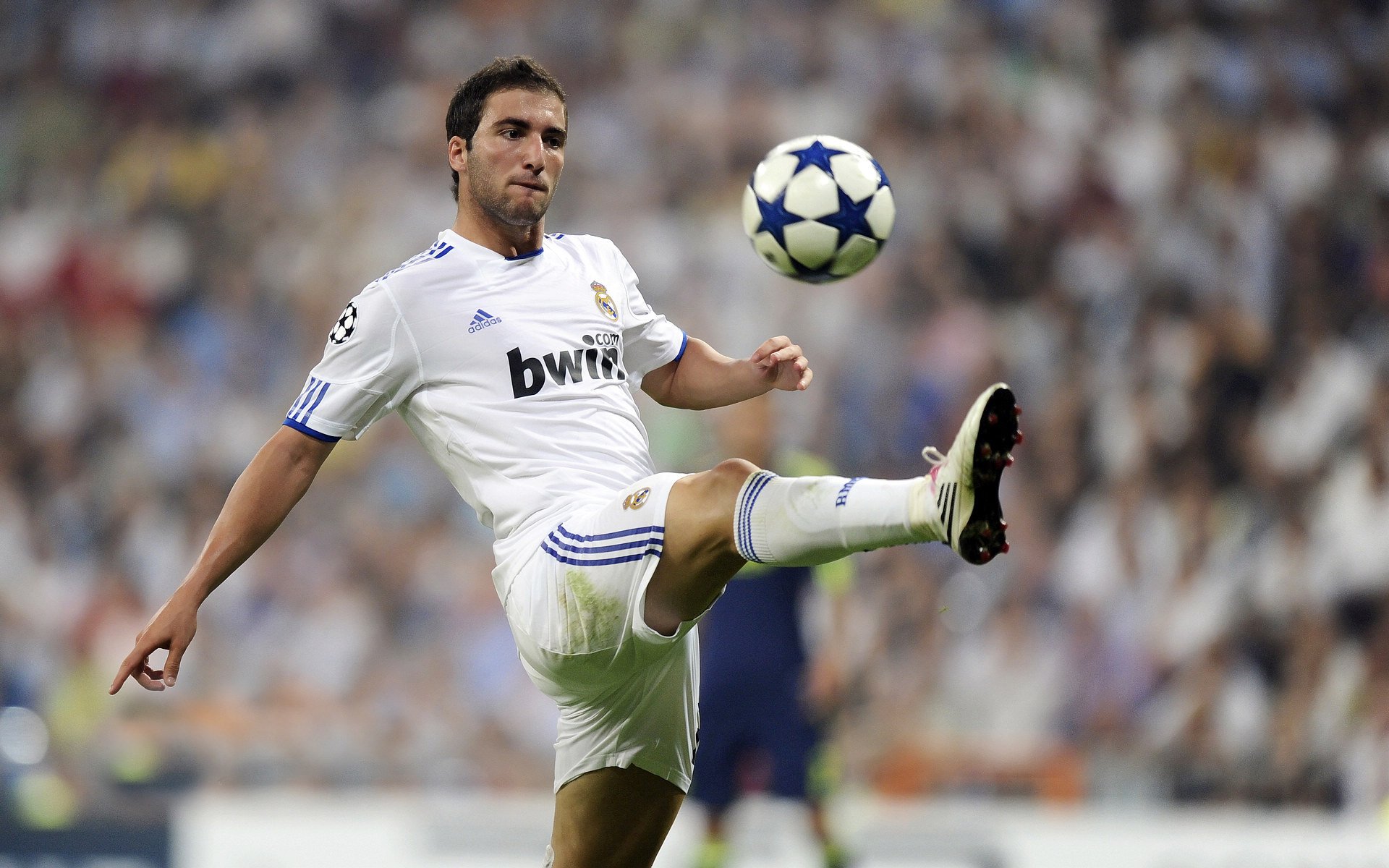 巴西骑手安娜·卡塔琳娜在巴黎奥运会障碍赛中获得铜牌，表现出色。